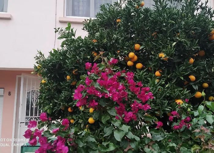 בית אירוח Chambres Climatisees Tout Confort,Gare ,Wifi, Parking, Avec Pt Dejeuner Compris פרפיניין