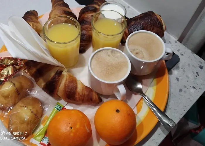 Confort,gare Tgv ,wifi, Clim, Parking, Avec Pt Dejeuner Compris Perpignan